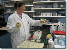 One of Our Scientists Analyzing Inorganic Material