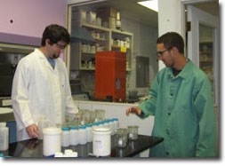 Technicians Working in Our Lab